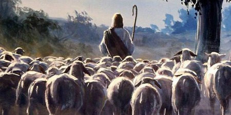 "Як ягня може перемогти вовка?" - коментар Євангелія дня