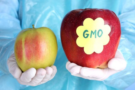 ГМО або що ми їмо