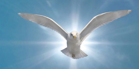 Чому хула на Святого Духа не буде прощена? - коментар Євангелія дня