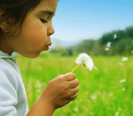 ecology