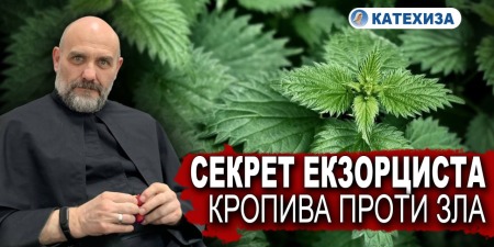 Користь кропиви в екзорцизмах