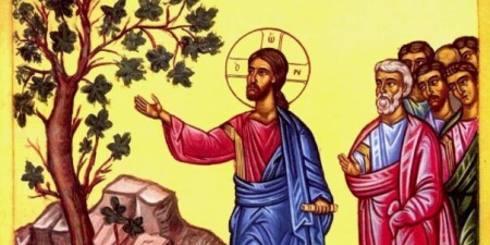 Ісус і безплідна смоківниця, - коментар Євангелія дня