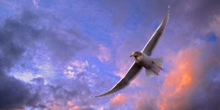 Прийдіть до Мене всі струджені та обтяжені, — і Я дам вам відпочинок! - коментар Євангелія дня