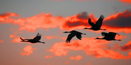 "Те, що зробили одному з Моїх найменших братів, ви зробили Мені&rdquo;, - коментар Євангелія дня